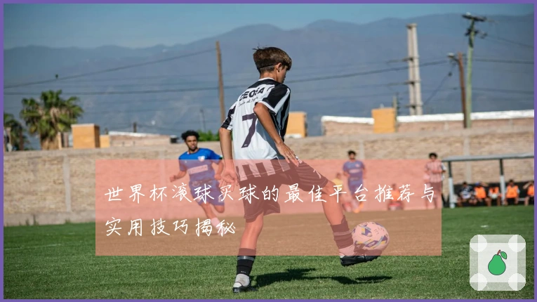 世界杯滚球买球的最佳平台推荐与实用技巧揭秘