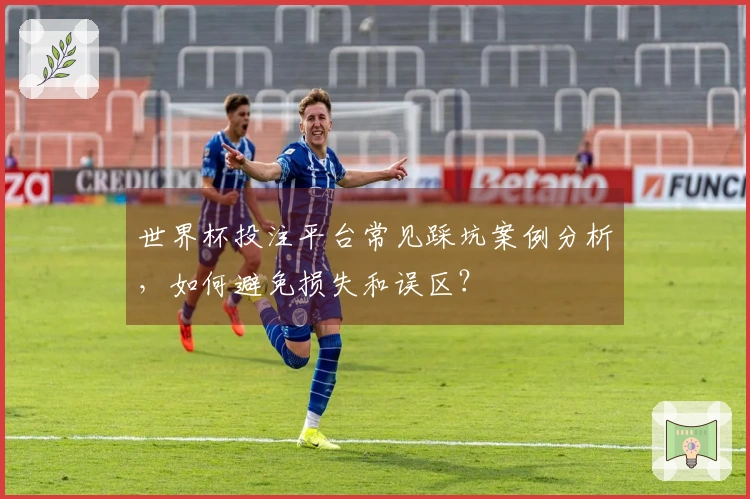 世界杯投注平台常见踩坑案例分析，如何避免损失和误区？