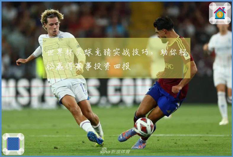 世界杯买球竞猜实战技巧，助你轻松赢得赛事投资回报