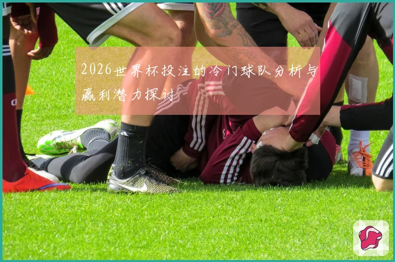 2026世界杯投注的冷门球队分析与赢利潜力探讨