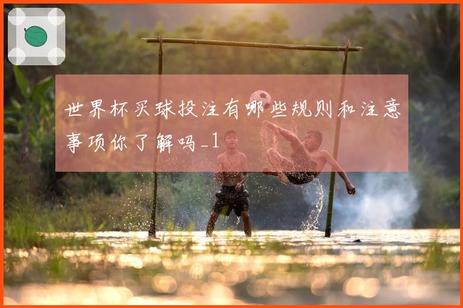 世界杯买球投注有哪些规则和注意事项你了解吗_1
