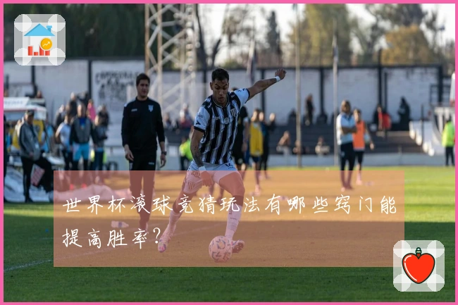 世界杯滚球竞猜玩法有哪些窍门能提高胜率？