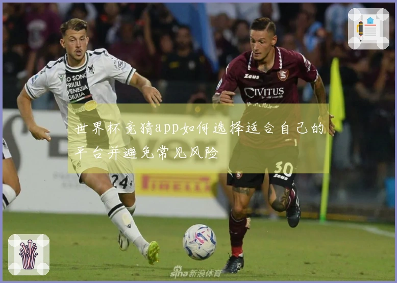 世界杯竞猜app如何选择适合自己的平台并避免常见风险