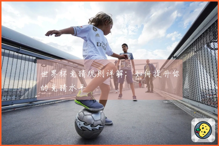 世界杯竞猜规则详解：如何提升你的竞猜水平