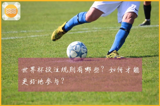 世界杯投注规则有哪些？如何才能更好地参与？