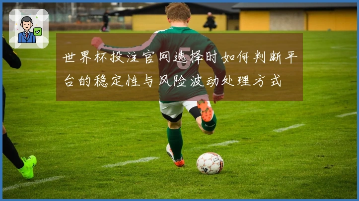 世界杯投注官网选择时如何判断平台的稳定性与风险波动处理方式