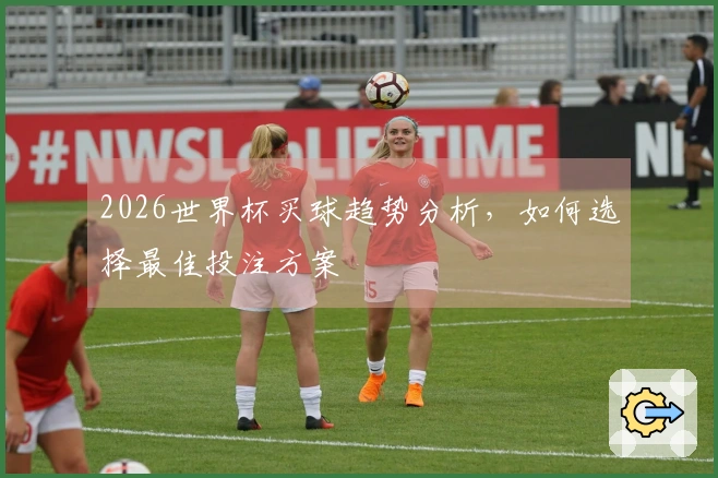 2026世界杯买球趋势分析，如何选择最佳投注方案