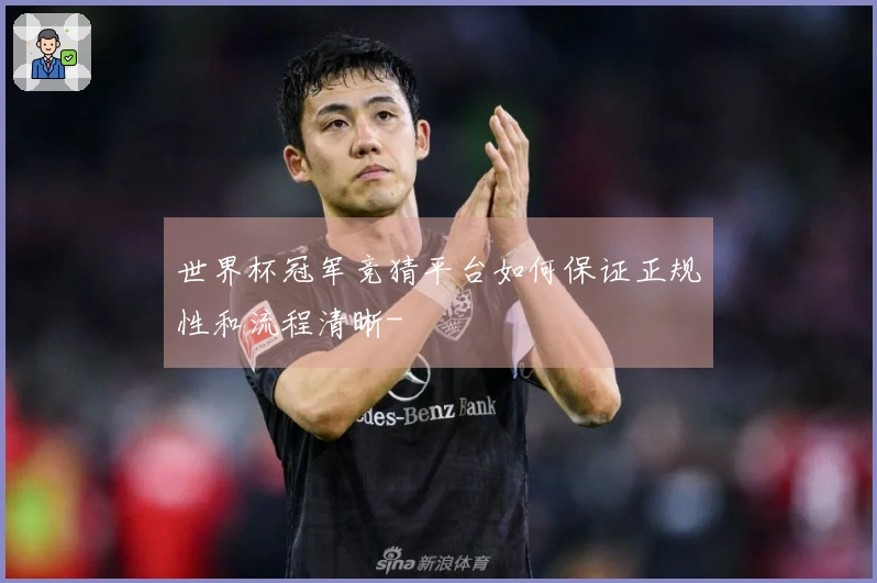 世界杯冠军竞猜平台如何保证正规性和流程清晰-