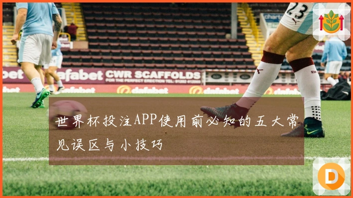 世界杯投注APP使用前必知的五大常见误区与小技巧