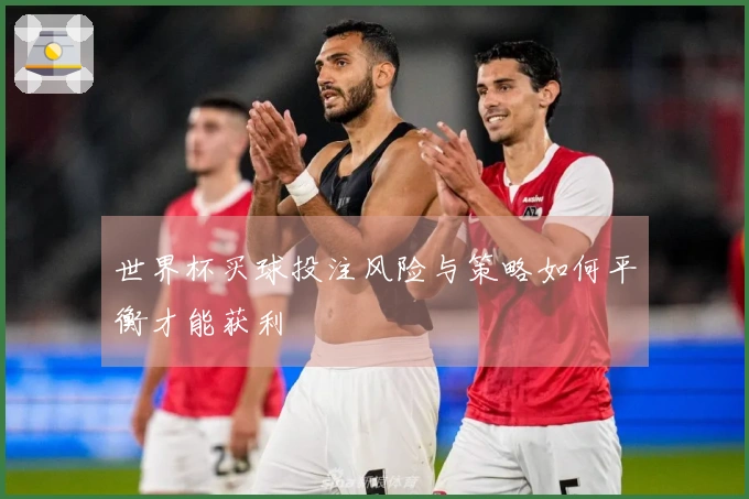 世界杯买球投注风险与策略如何平衡才能获利
