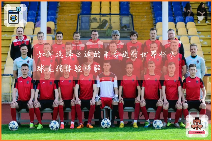 如何选择合适的平台进行世界杯买球竞猜体验详解